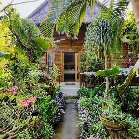 The Catar Cottages Toyapakeh 외부 사진